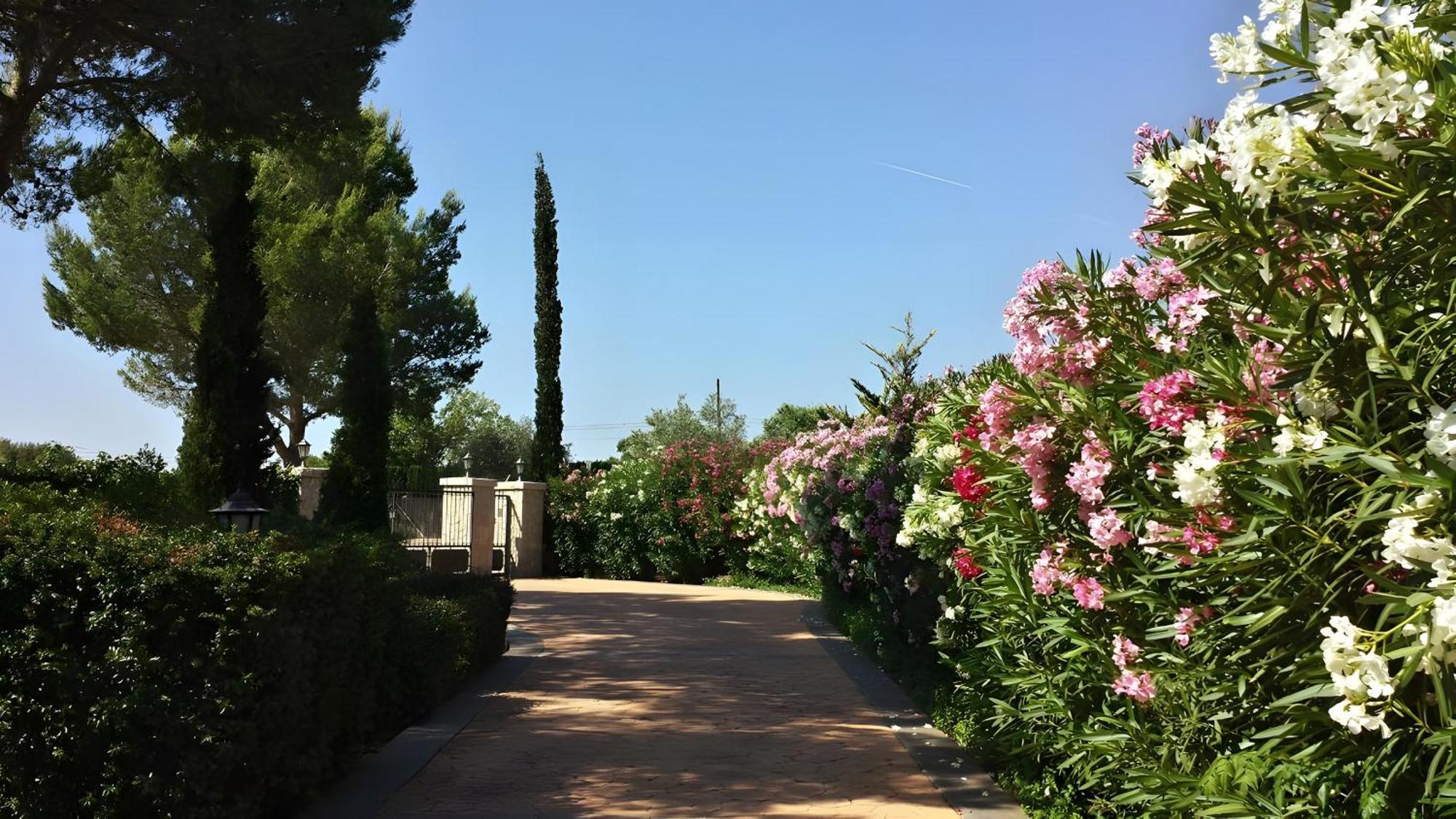 Mil Flores, Purer Luxus Villa Inca (Mallorca)